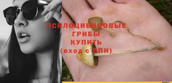 дживик Белоозёрский