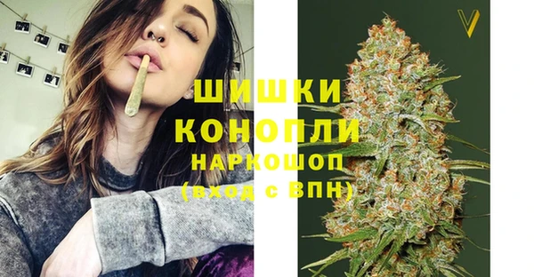 дживик Белоозёрский