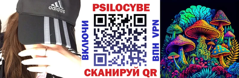 Псилоцибиновые грибы GOLDEN TEACHER  Шацк 
